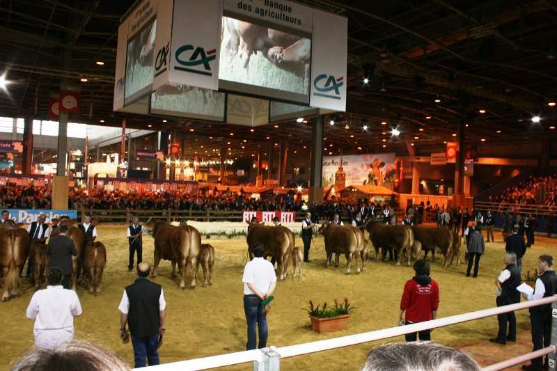 cga 2012 025.JPG